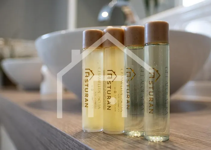 Daire Torre La Arena Gijón